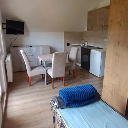 Apartment Kamini Ravna Planina