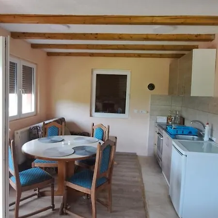 Apartment Kamini Ravna Planina *