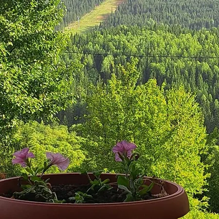 Lejlighed Kamini Ravna Planina Pale