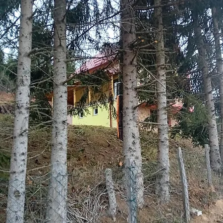 Apartman Kamini Ravna Planina *