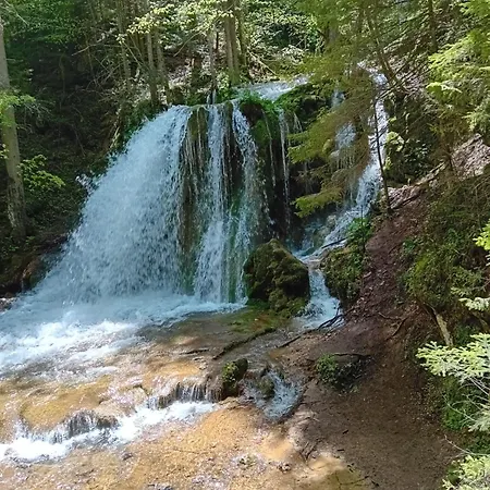 Apartman Kamini Ravna Planina