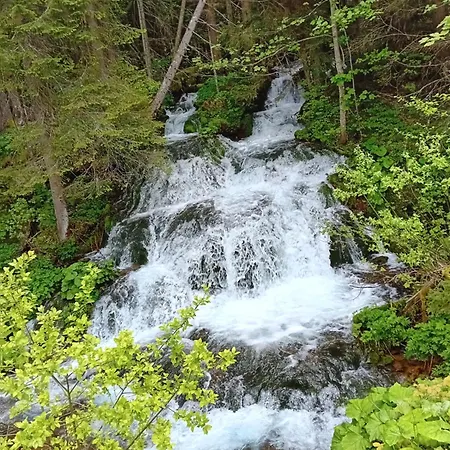 Kamini Ravna Planina Pale