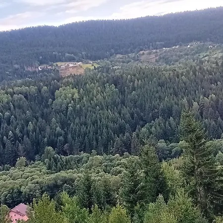 Kamini Ravna Planina *