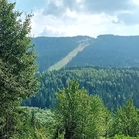 Kamini Ravna Planina * Pale